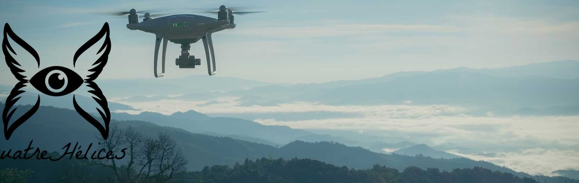 Drone professionnel surveillance