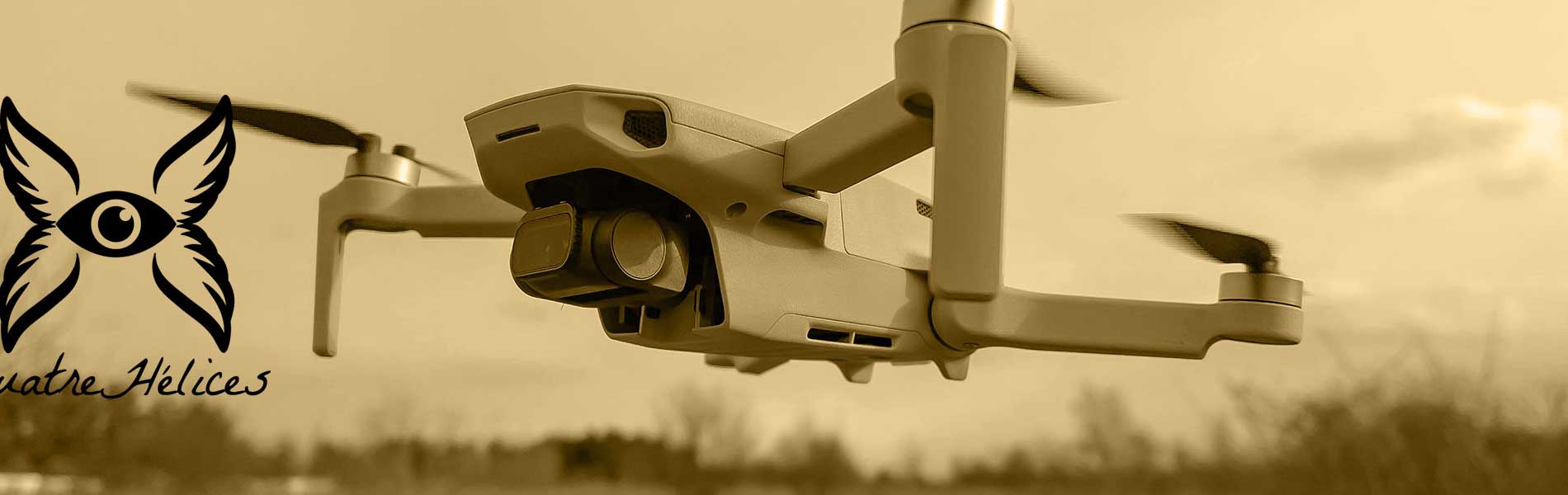 Drone professionnel surveillance