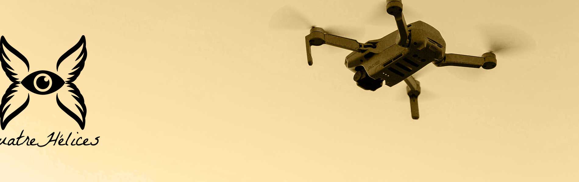 Drone professionnel surveillance