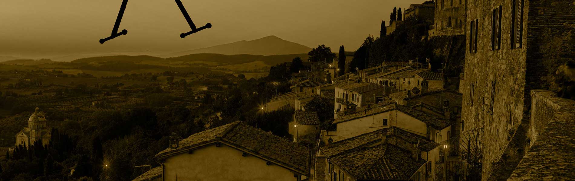 Drone professionnel surveillance