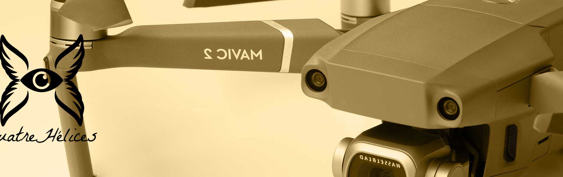 Drone professionnel surveillance
