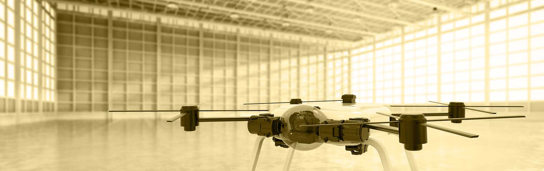 Relevé drone