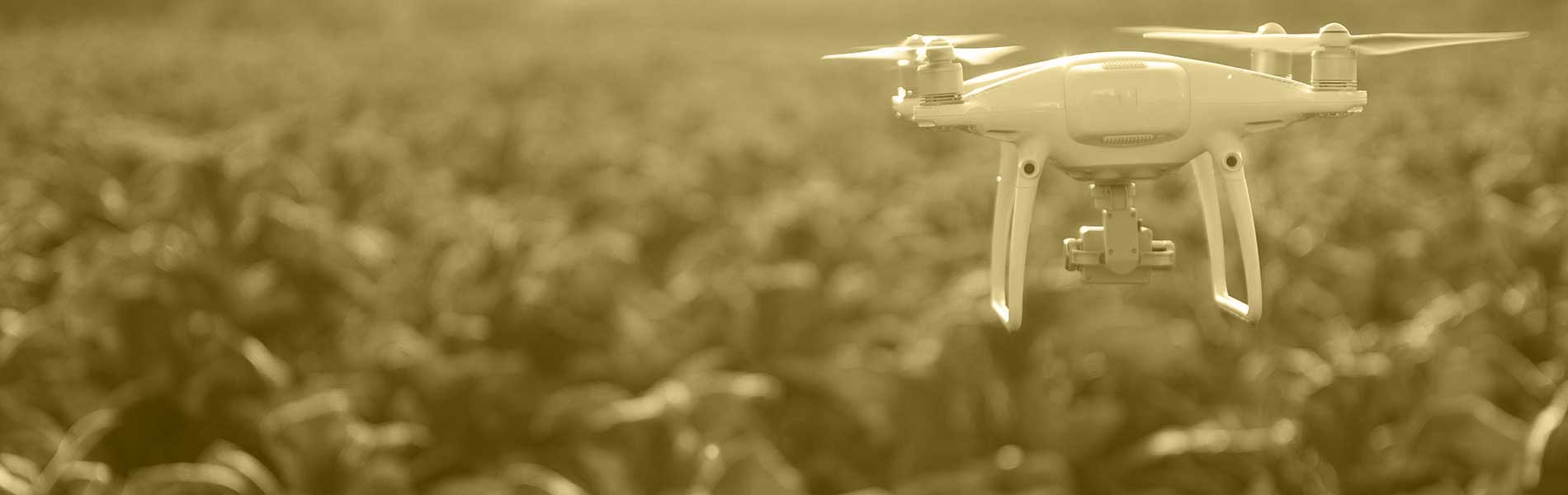 Time lapse chantier drone