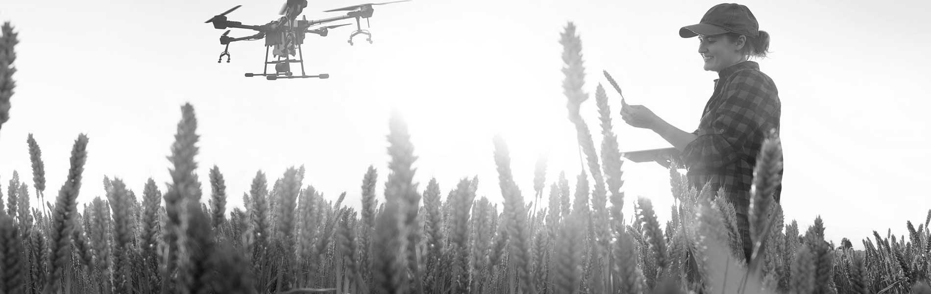 Relevé drone