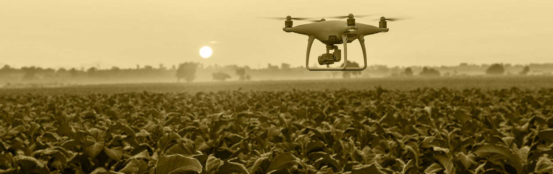 Suivi de chantier par drone