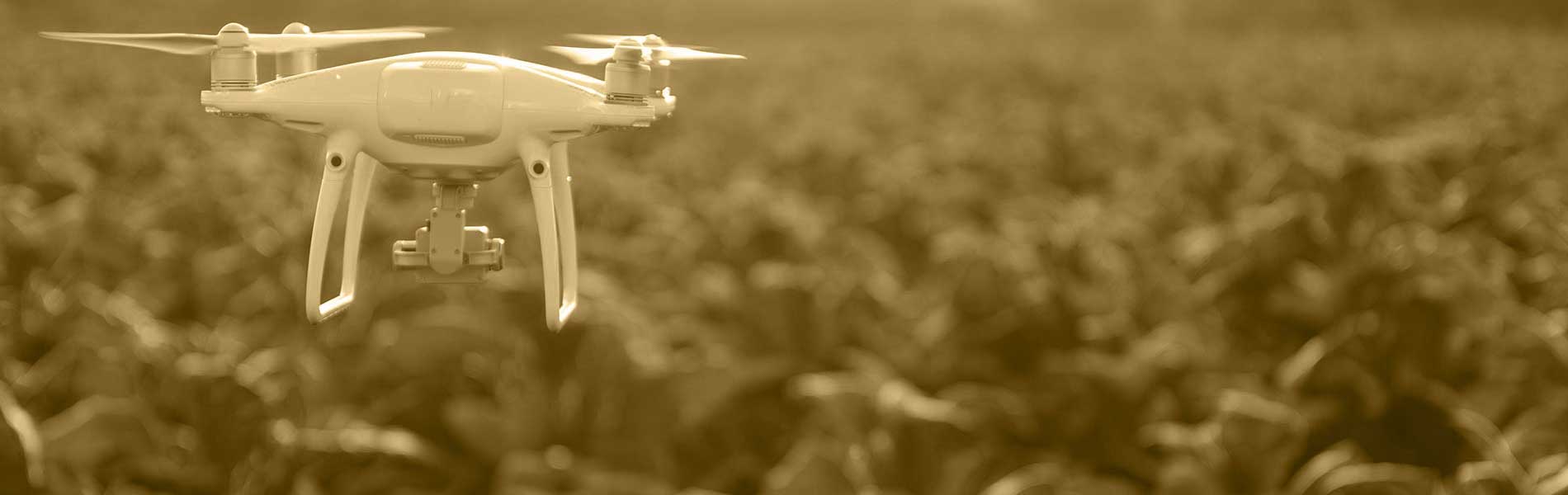 Tarif film chantier drone