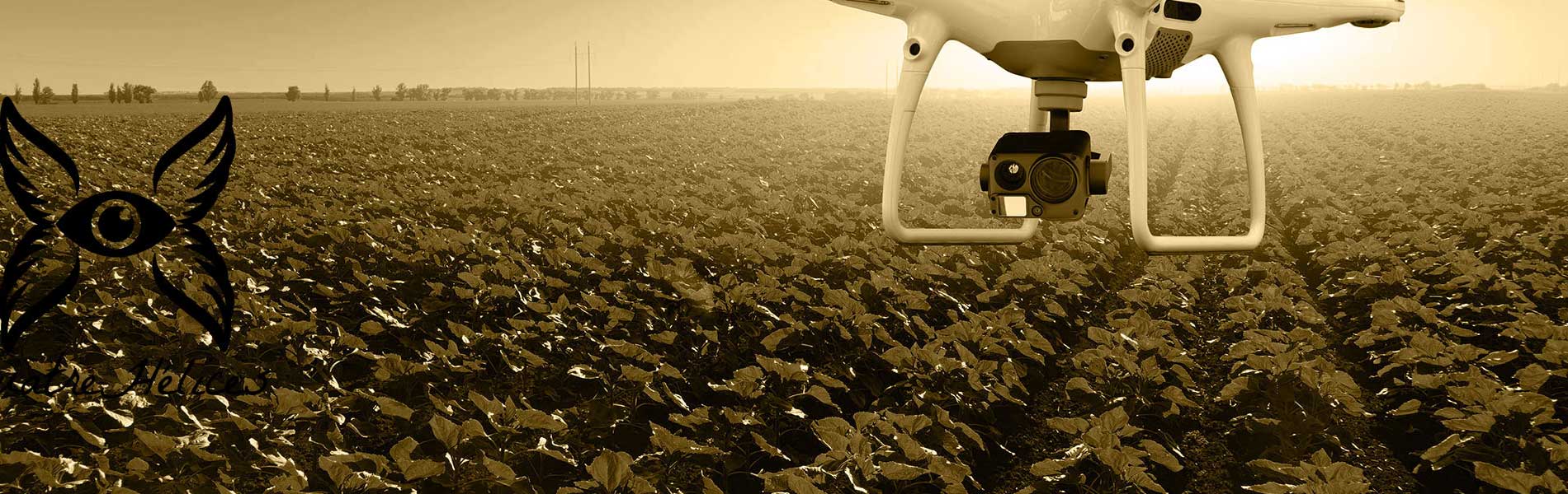 Drone pour topographie prix Gardanne (13120)