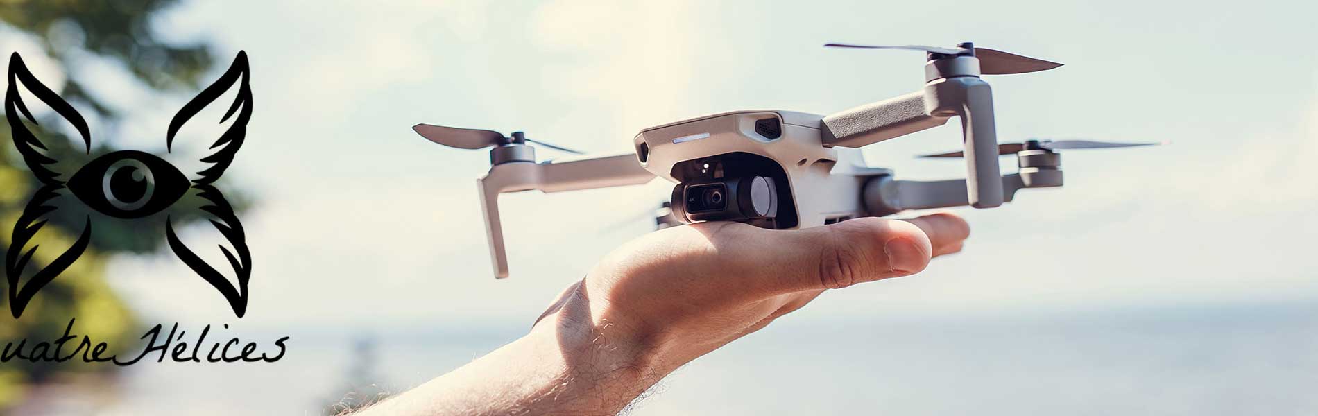 Drone professionnel surveillance