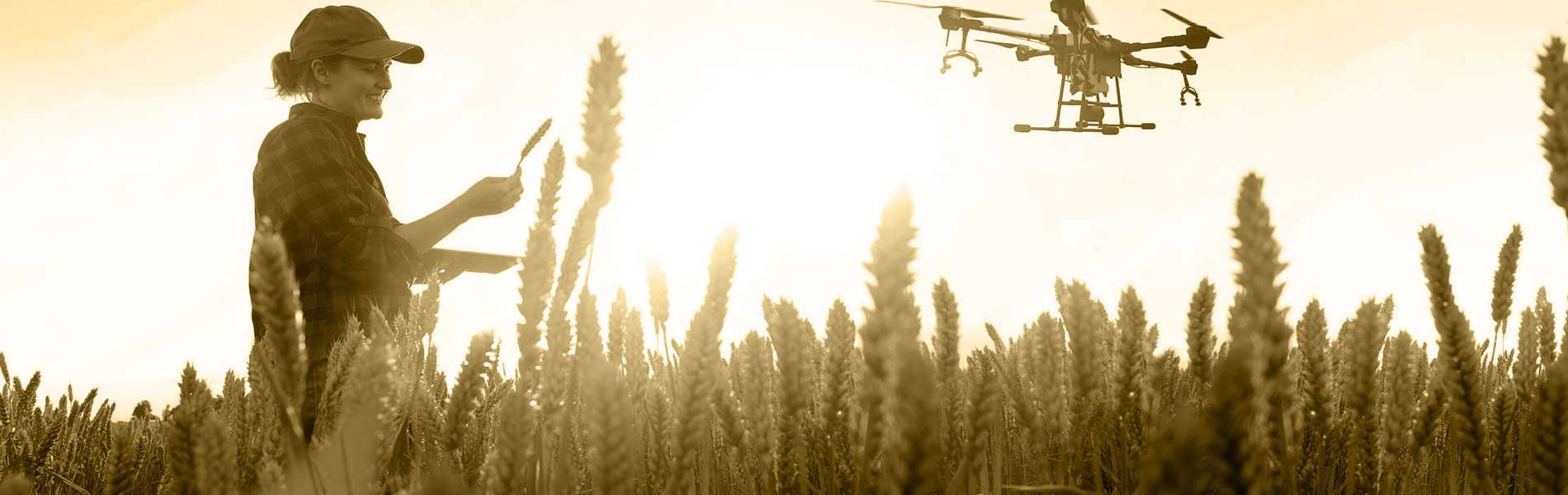 Drone professionnel surveillance