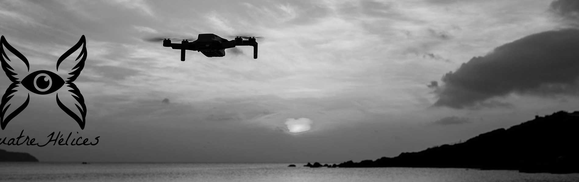 Drone professionnel surveillance