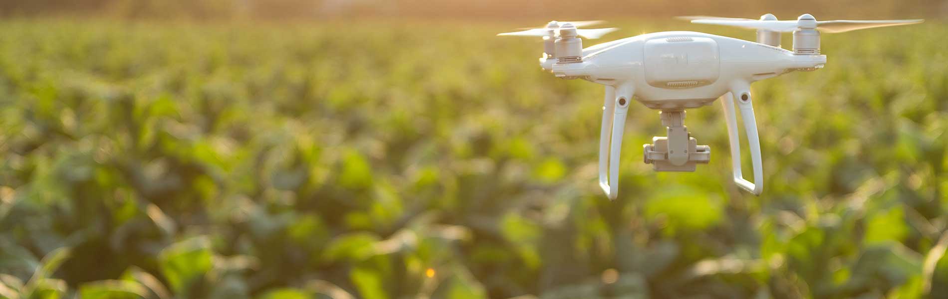 Tarif suivi de chantier par drone