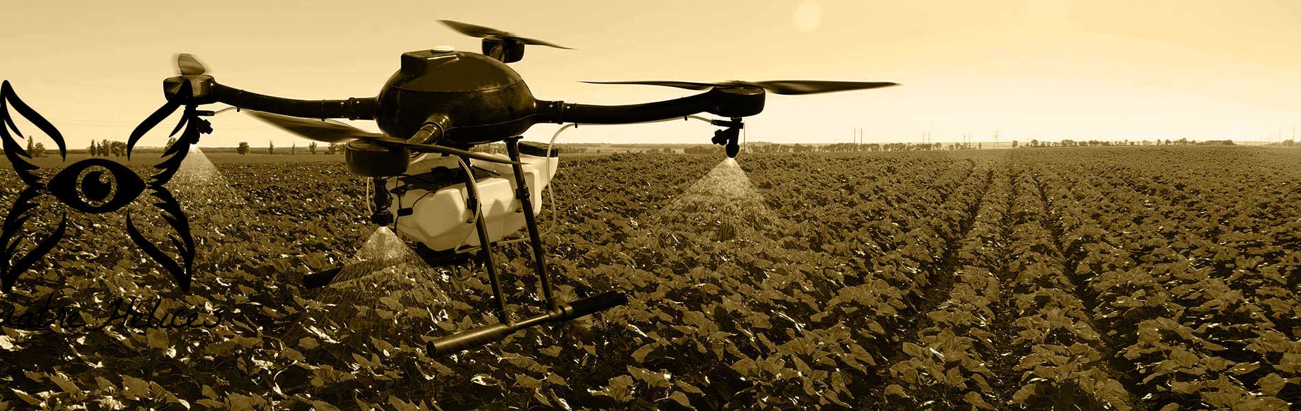 Drone pour topographie prix