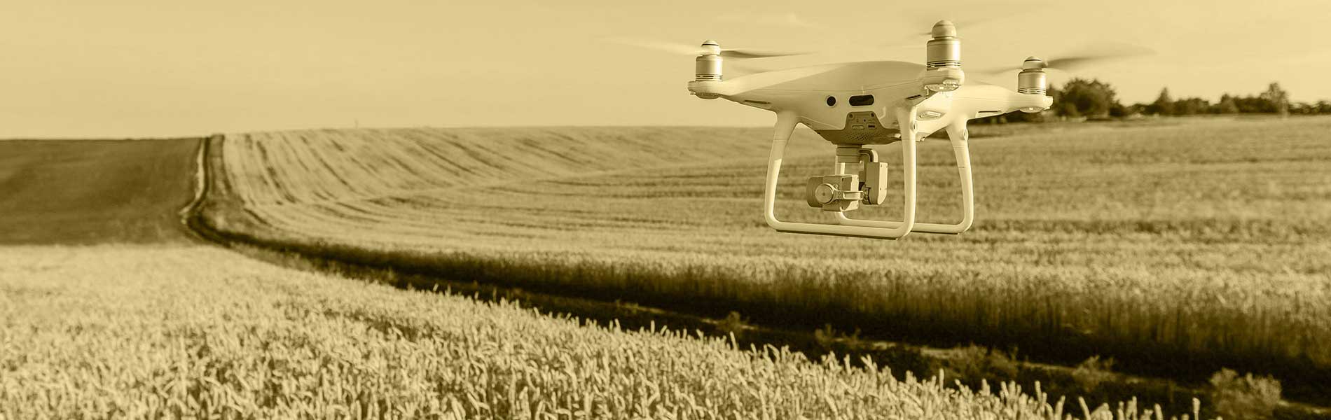 Drone professionnel surveillance