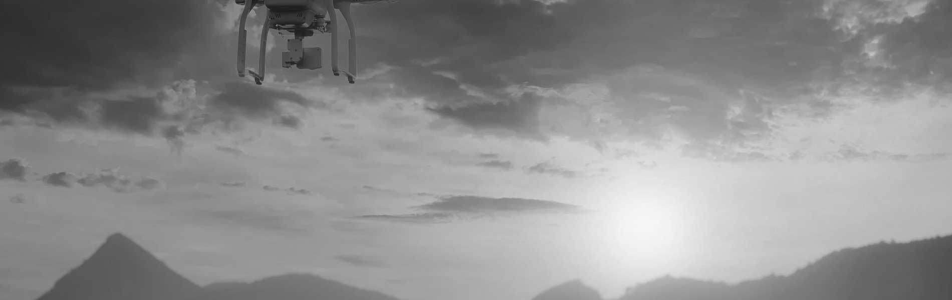 Drone professionnel surveillance