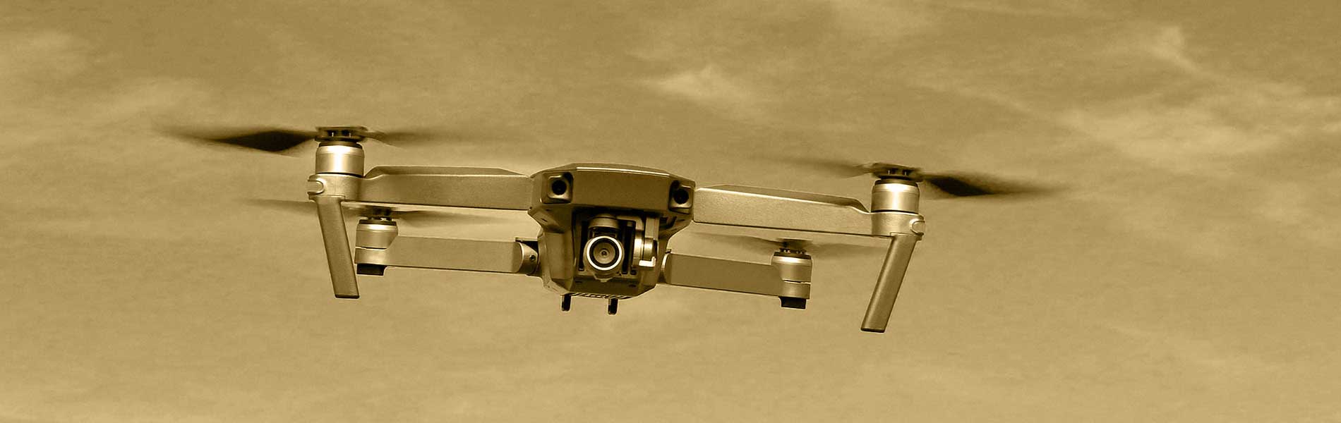 Drone professionnel surveillance
