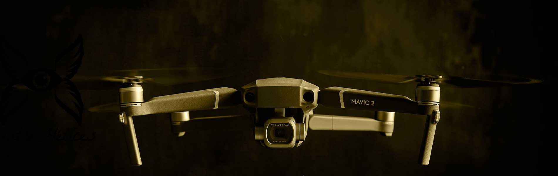 Drone professionnel surveillance