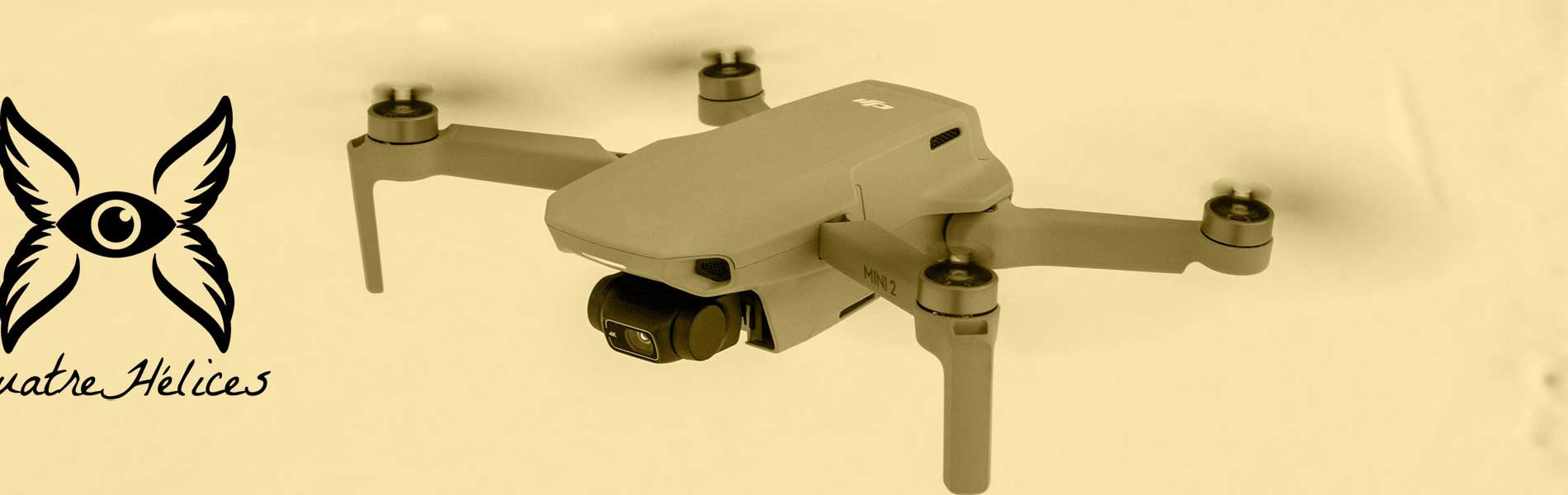 Relevé drone