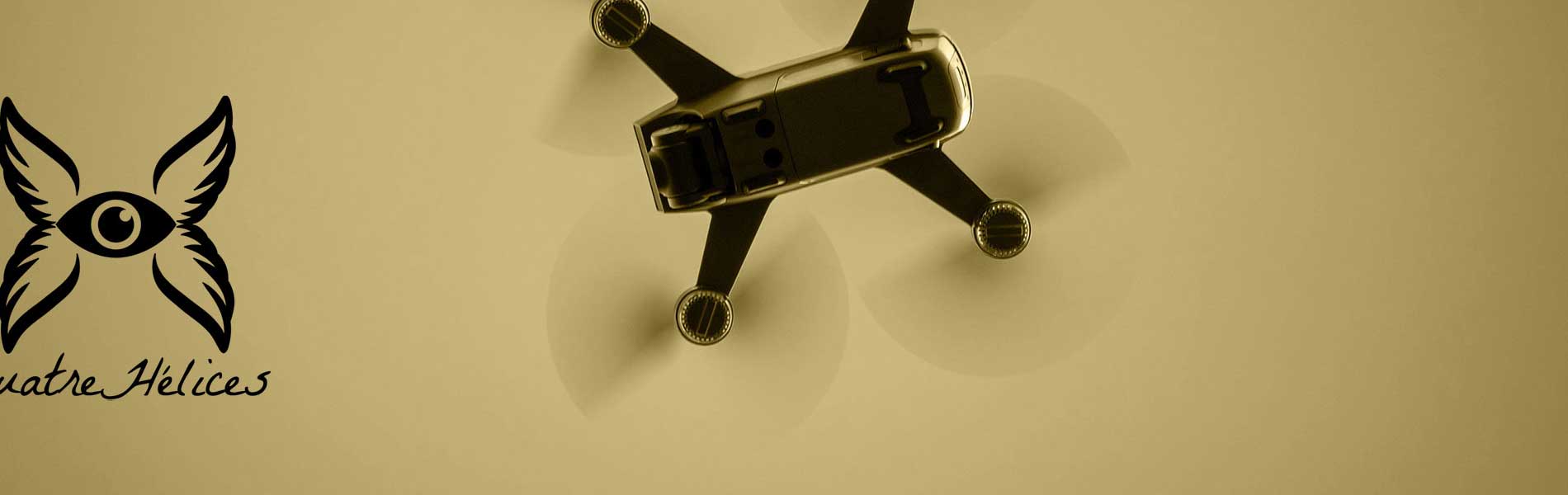 Drone professionnel surveillance