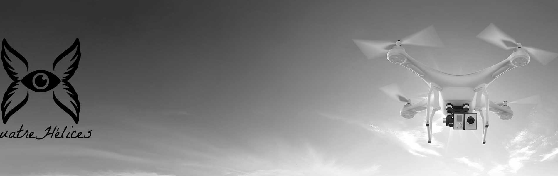 Drone professionnel surveillance