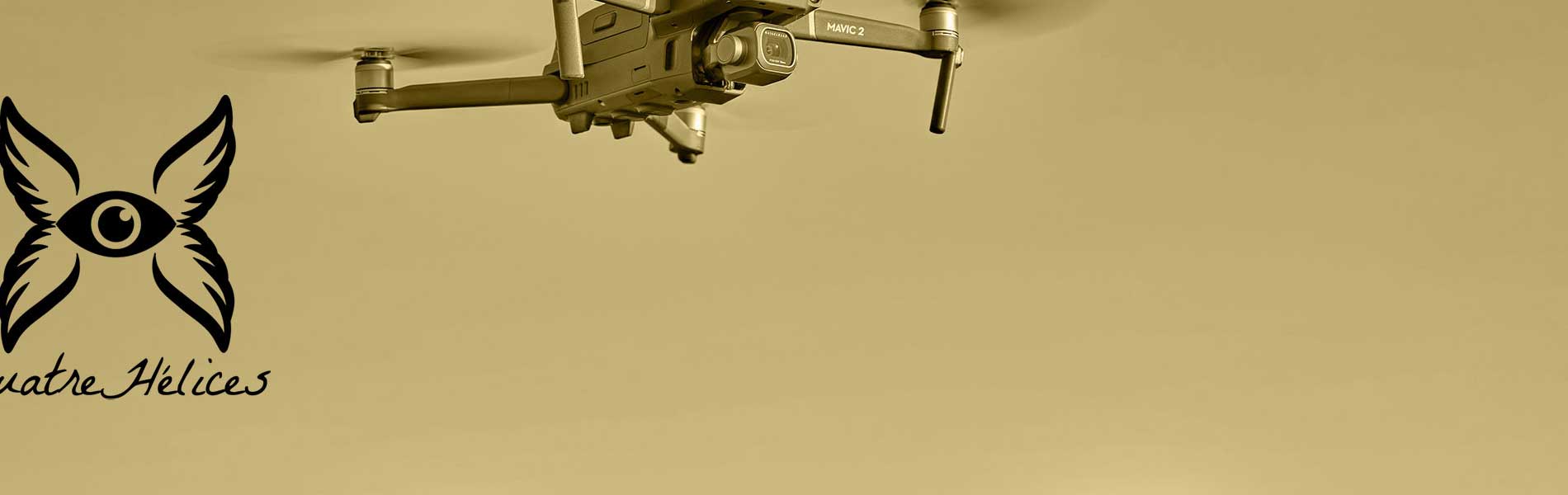 Drone professionnel surveillance