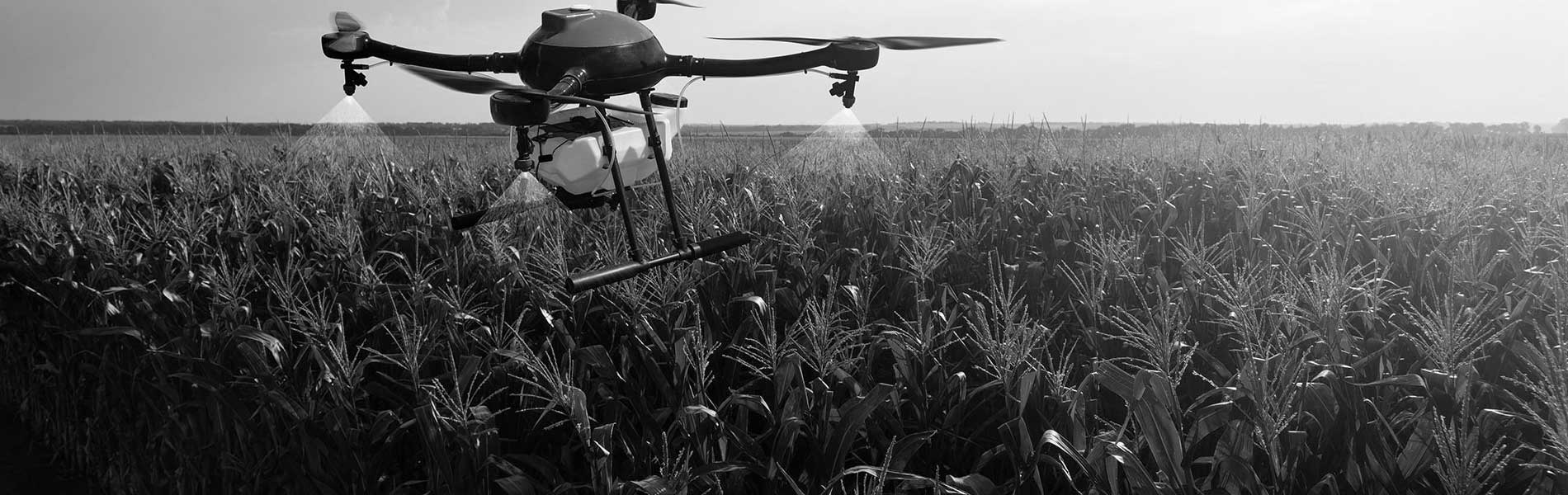 Photo chantier drone