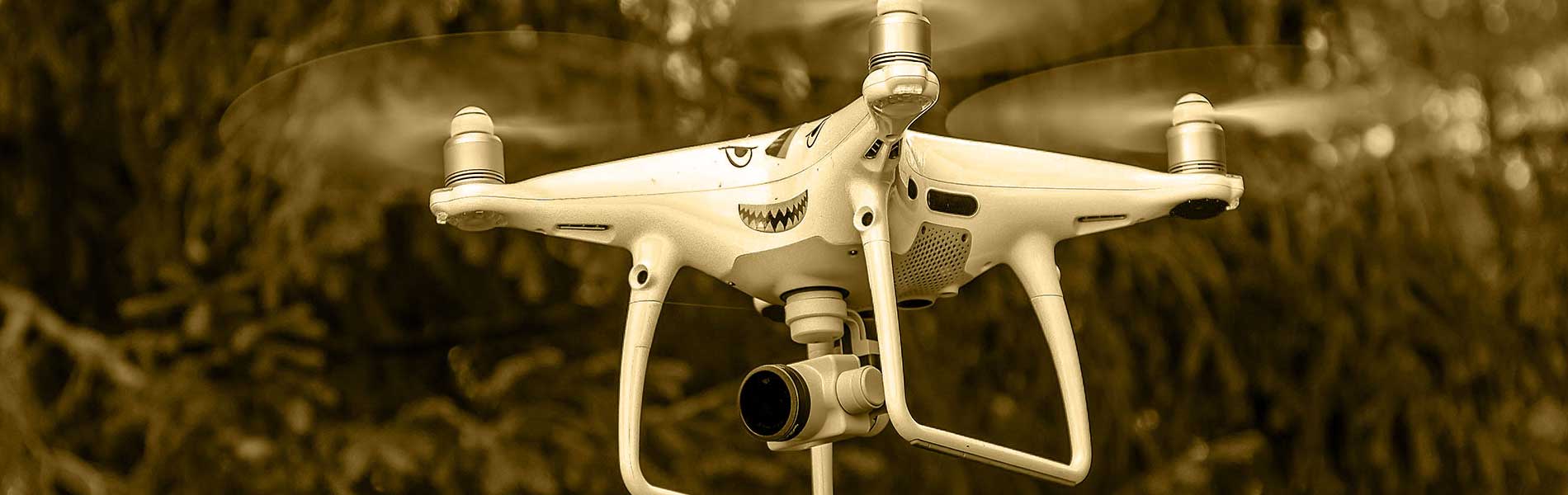 Relevé drone