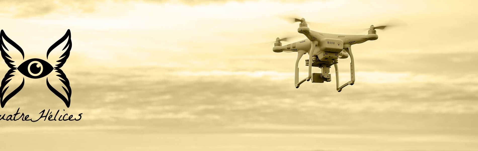 Drone professionnel surveillance