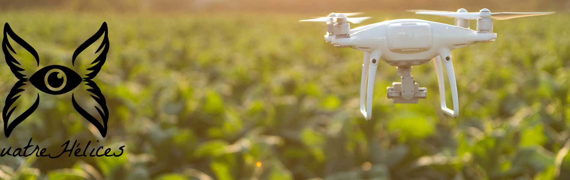 Relevé drone