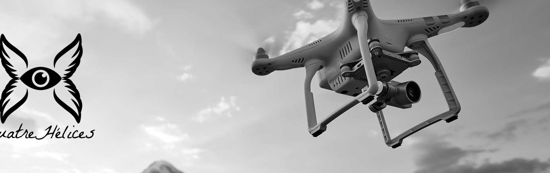 Drone professionnel surveillance