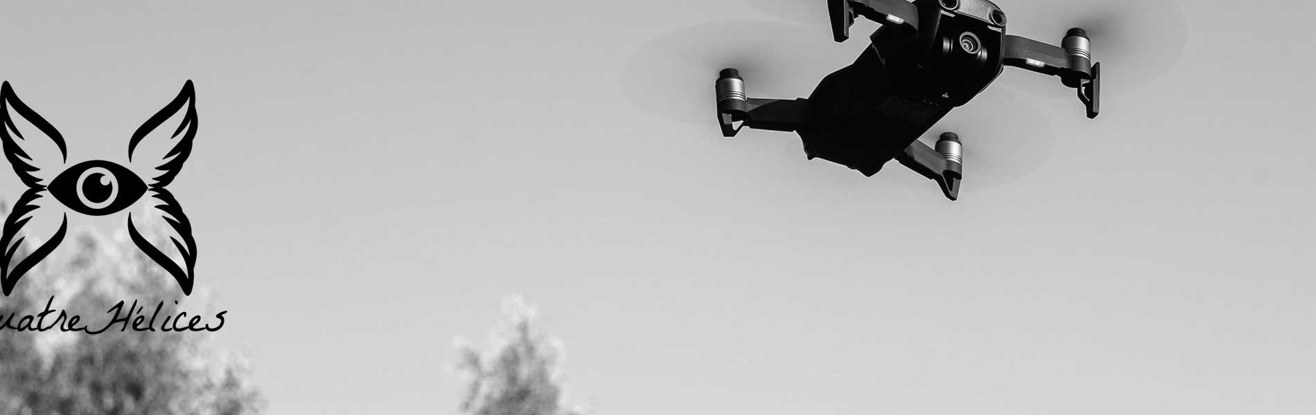 Relevé drone