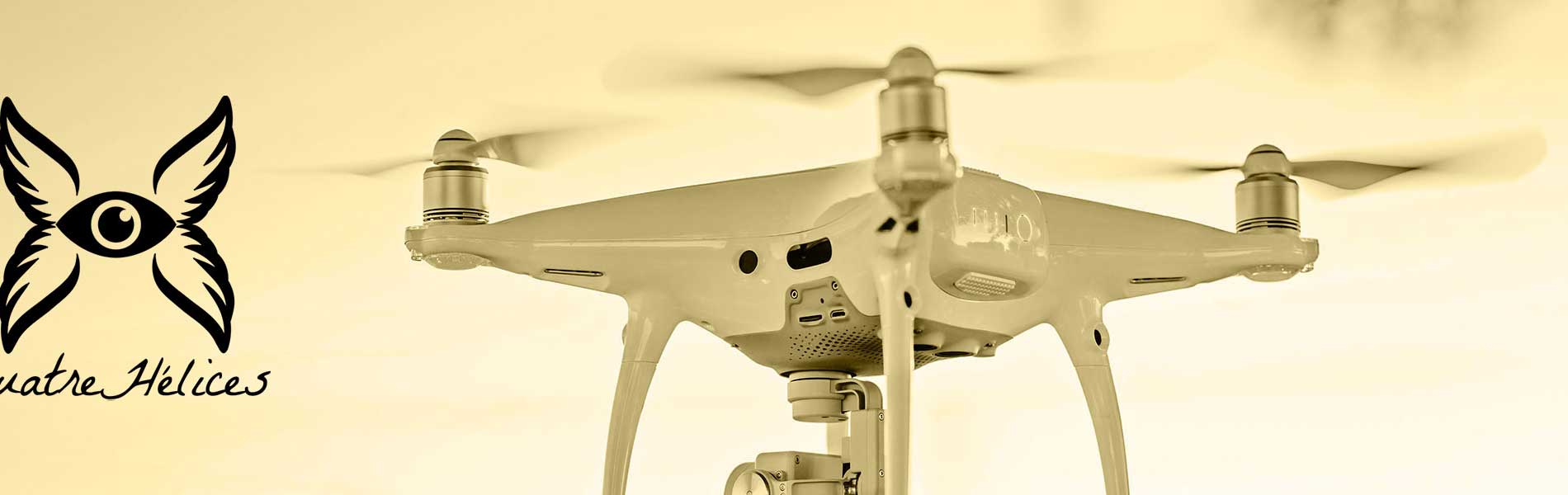 Drone professionnel surveillance