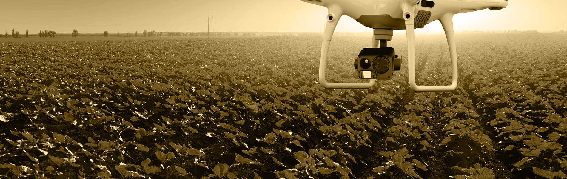 Prix film chantier drone