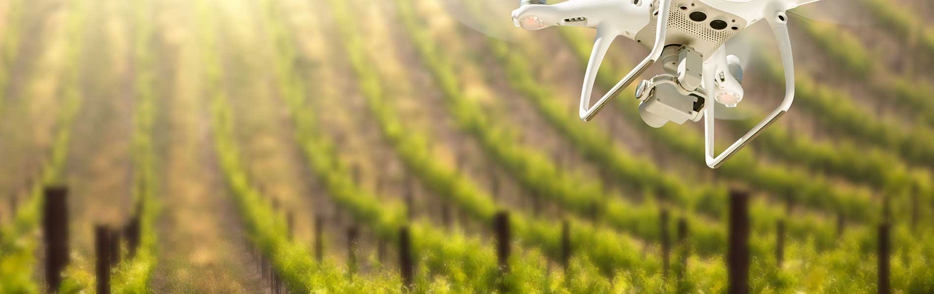 Suivi chantier drone