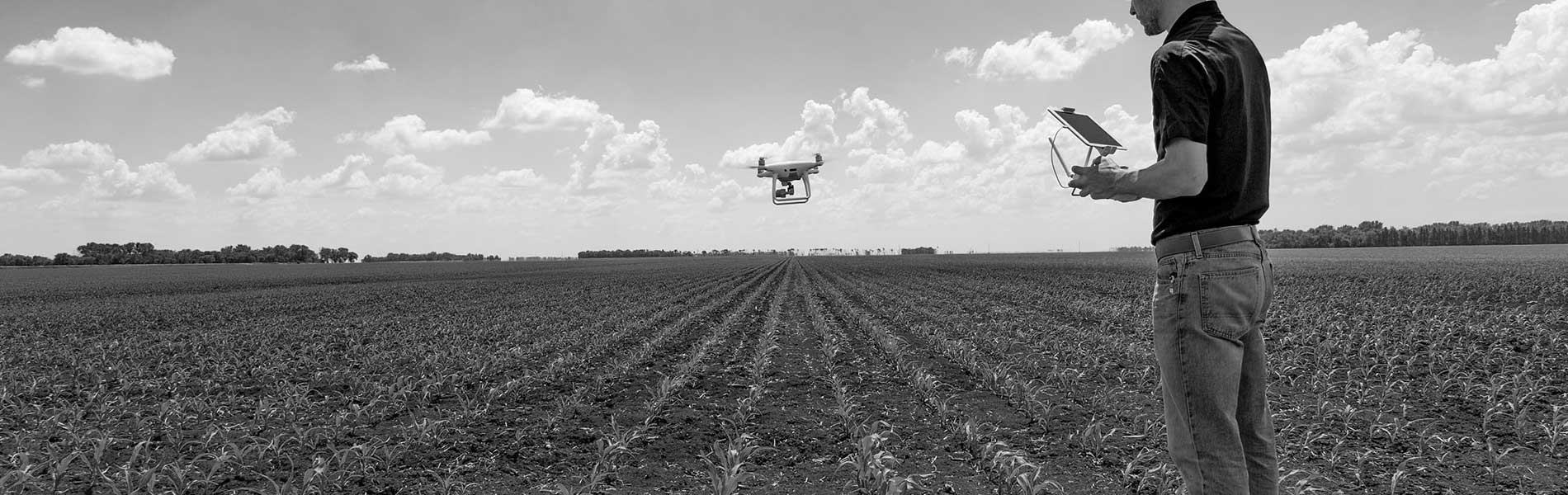 Video immobilier drone