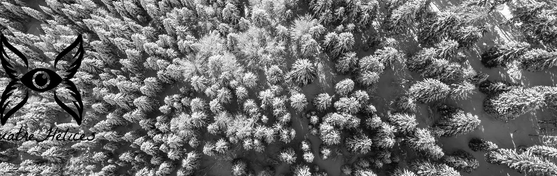Drone photo immobilier