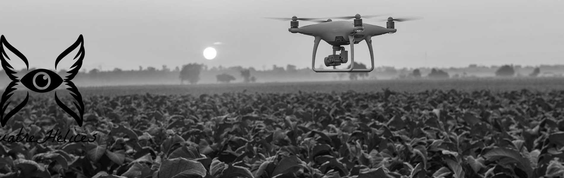 Drone professionnel immobilier