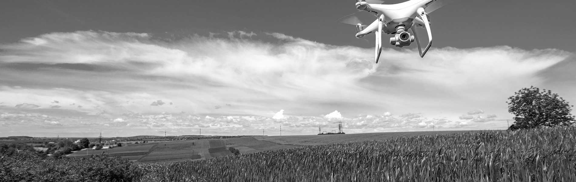 Visite par drone