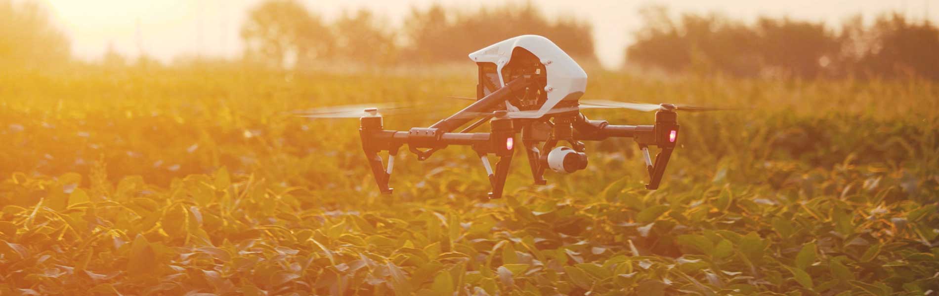 Drone immobilier tarif