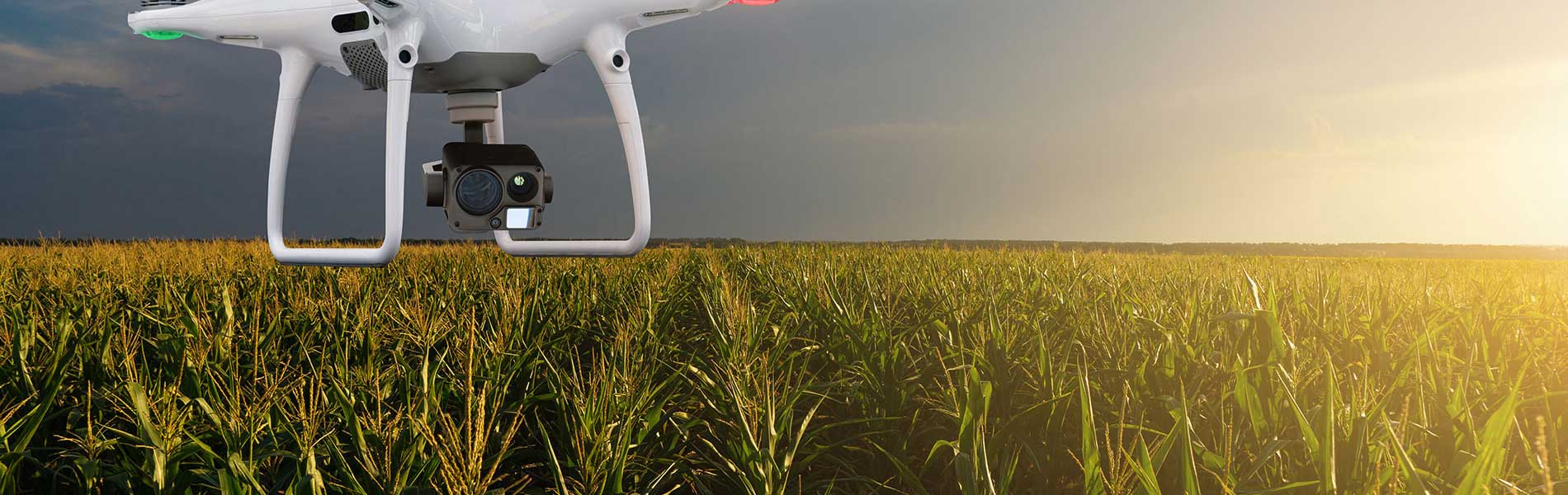 Drone immobilier