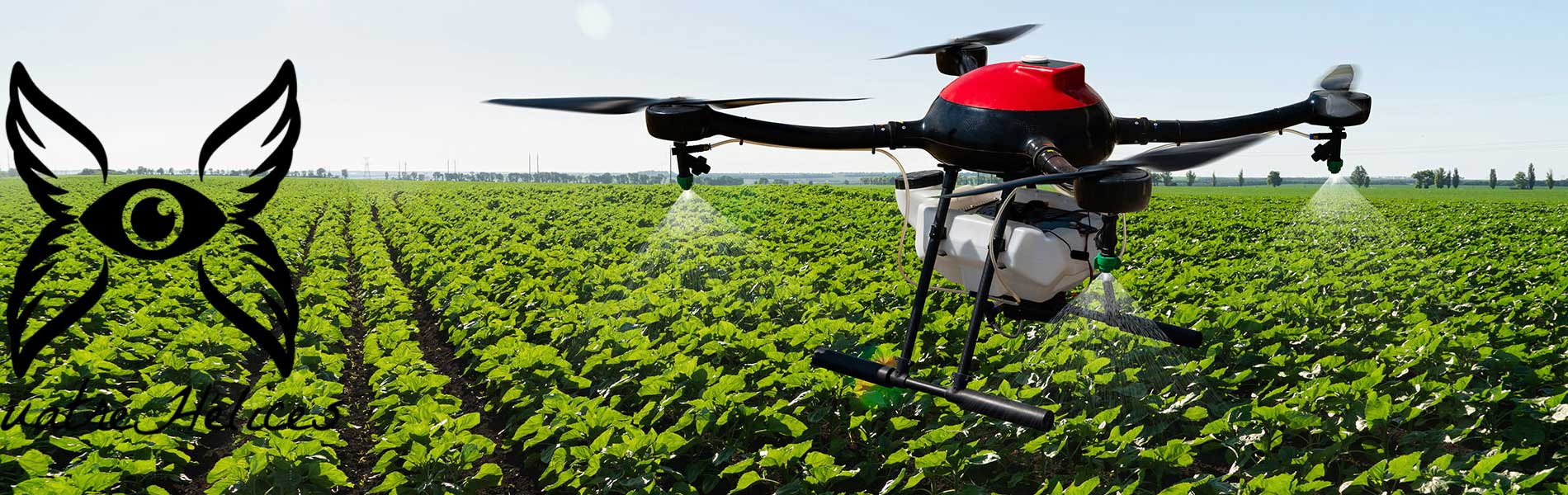 Photo immobilier drone