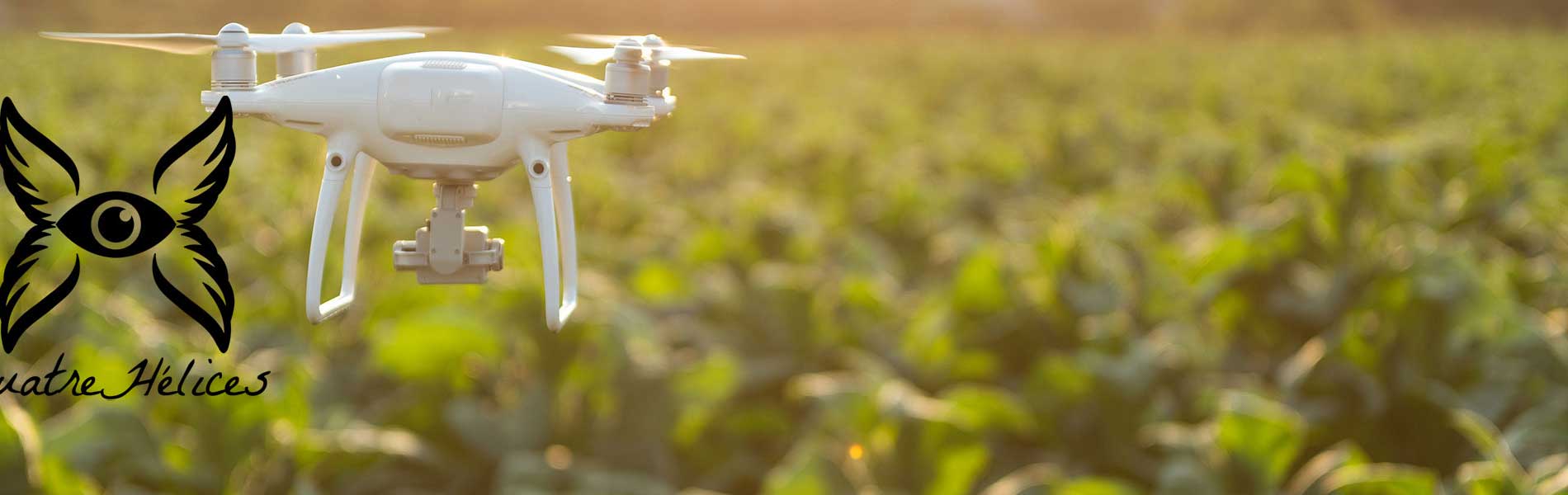 Drone immobilier tarif