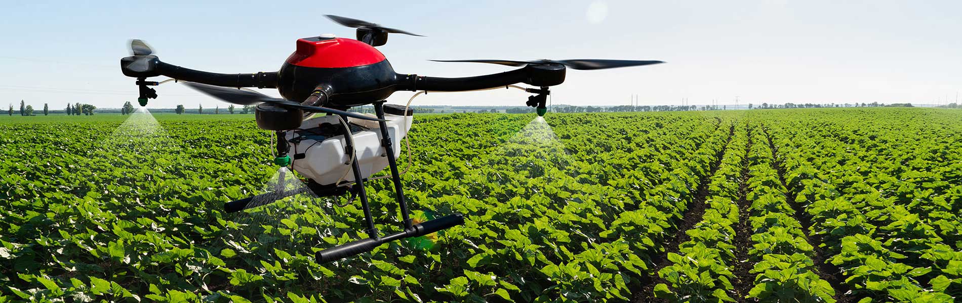 Photo drone immobilier