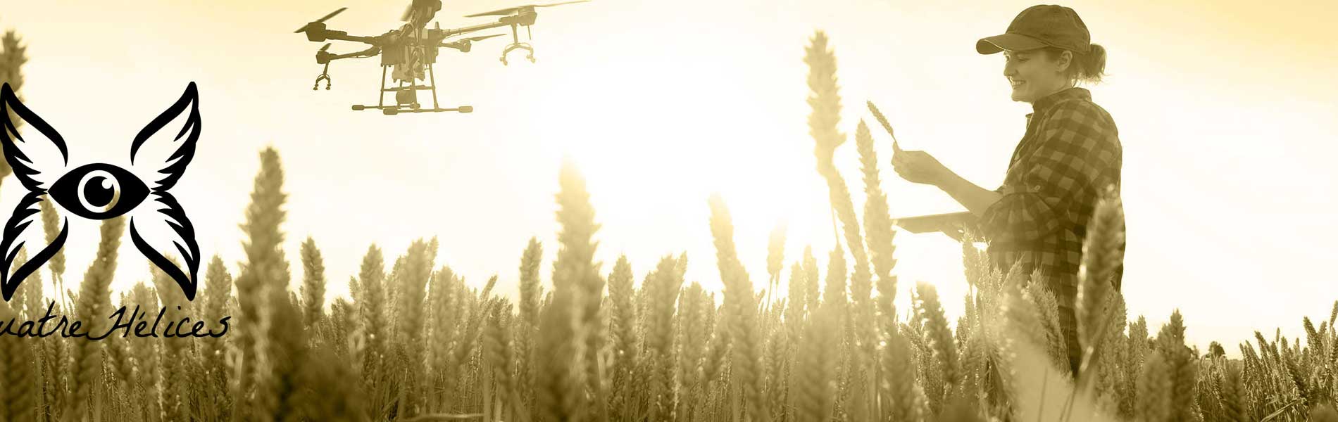 Video immobilier drone