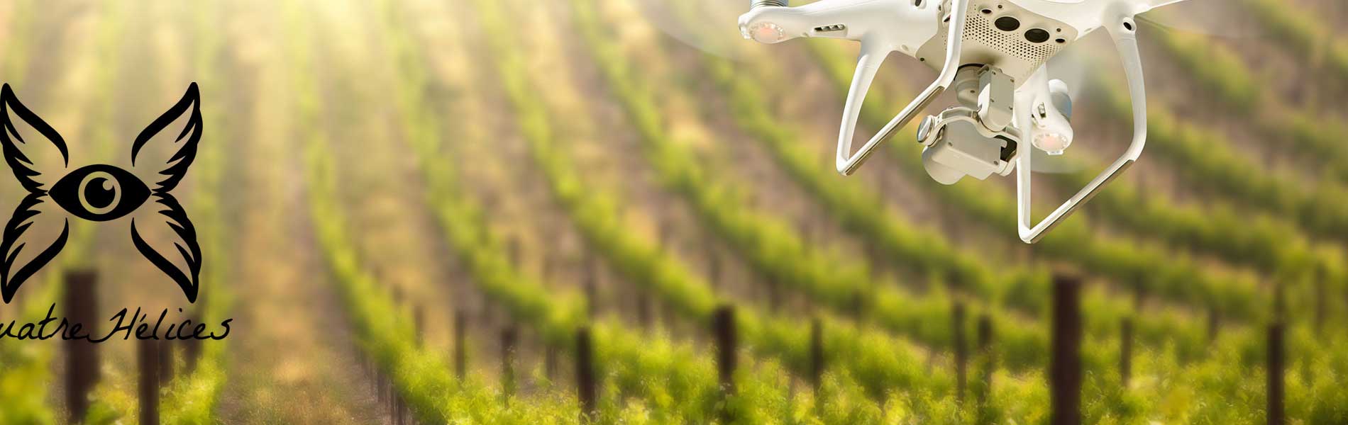 Photographe immobilier drone