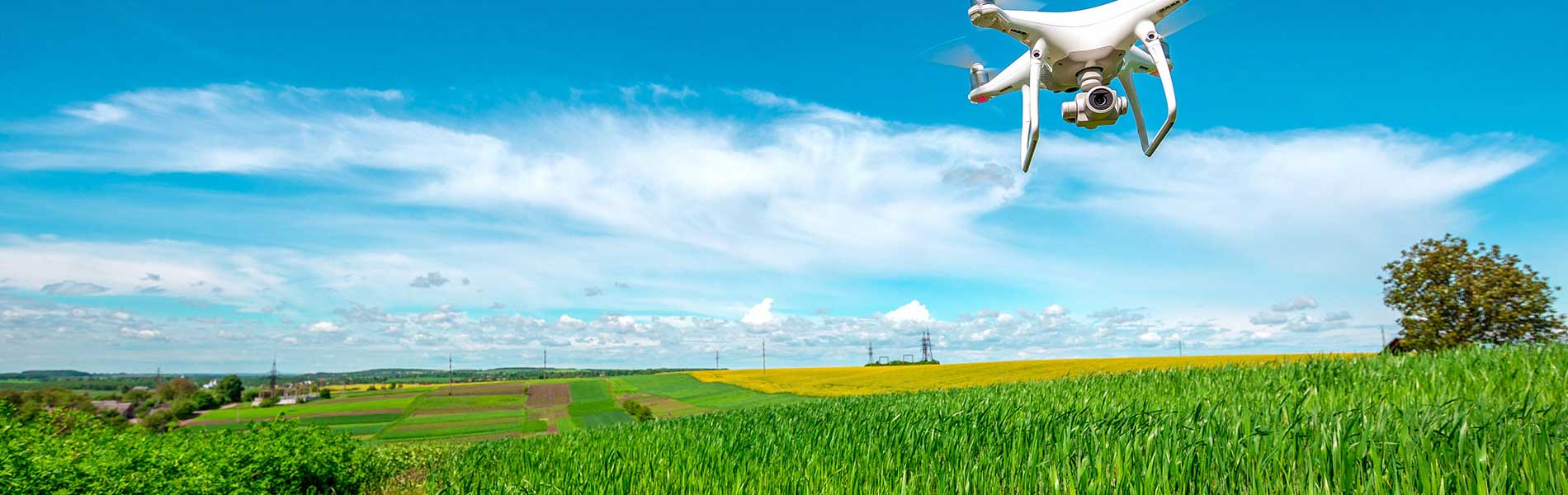 Photo immobilier drone