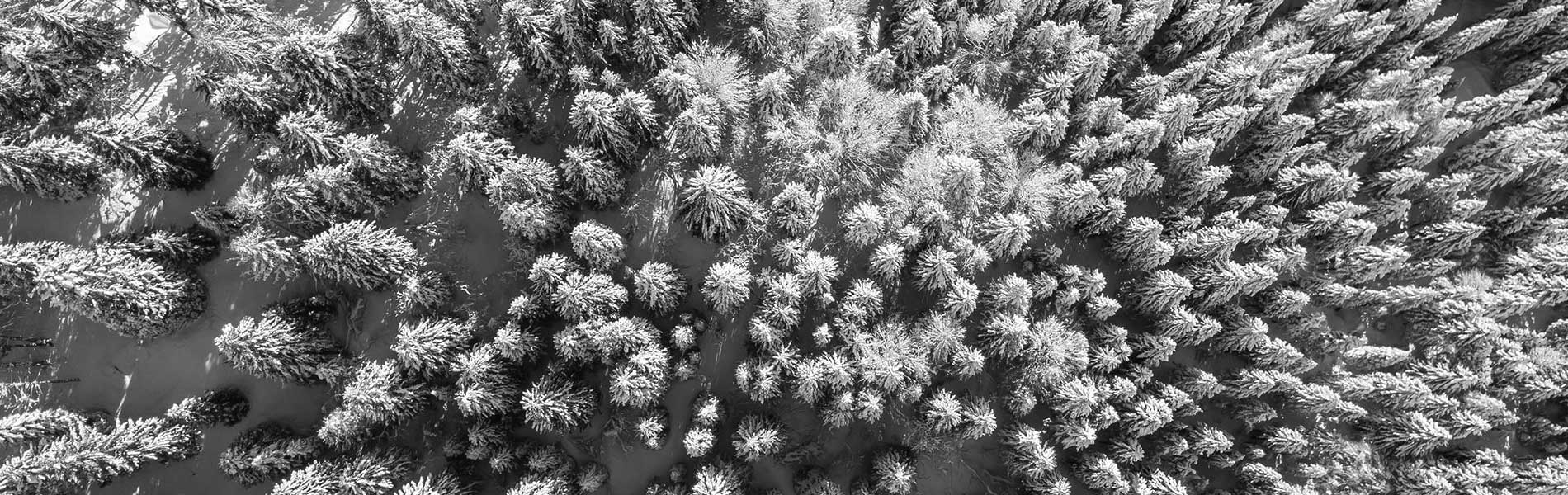 Drone photo immobilier