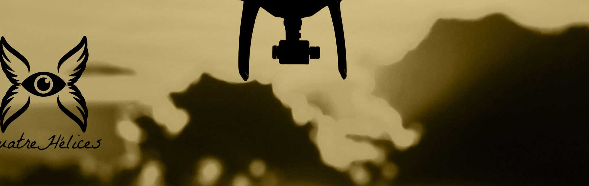Visite par drone