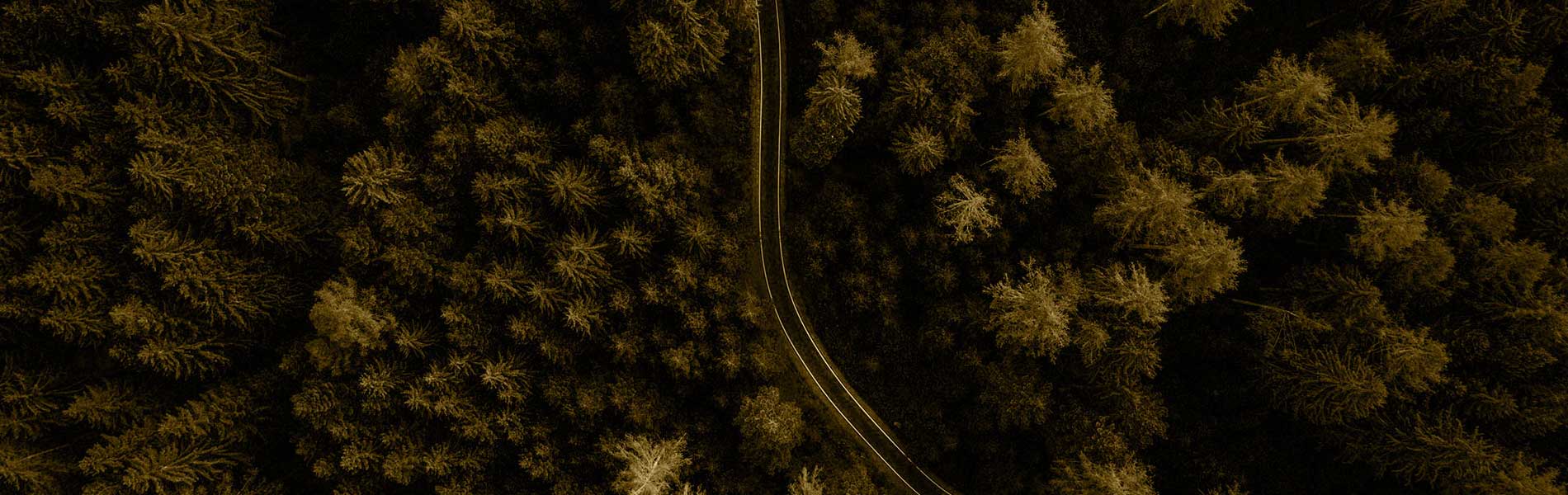 Visite par drone
