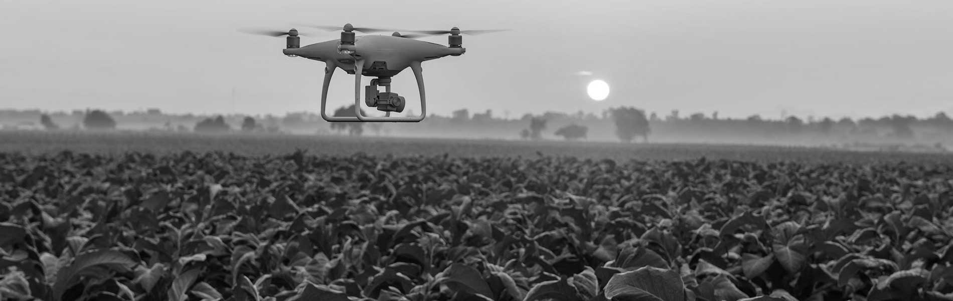 Photo immobilier drone