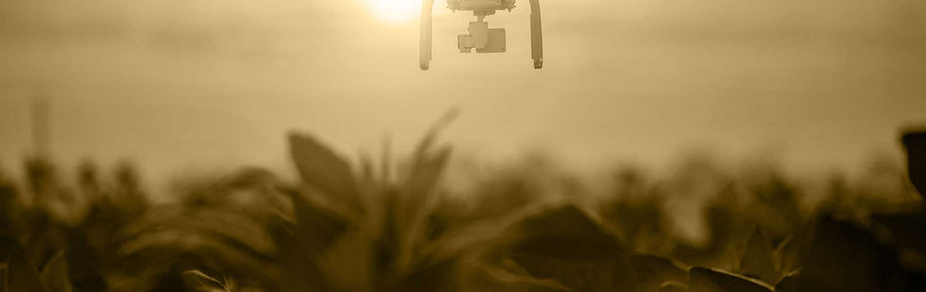 Visite par drone